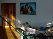 deluxe mayan hammocks by Bougainville