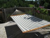 Hampton Head Hammocks